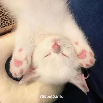 Avatar do usuário Aadhya